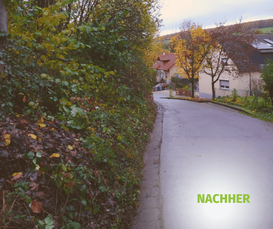 projekt1-nachher