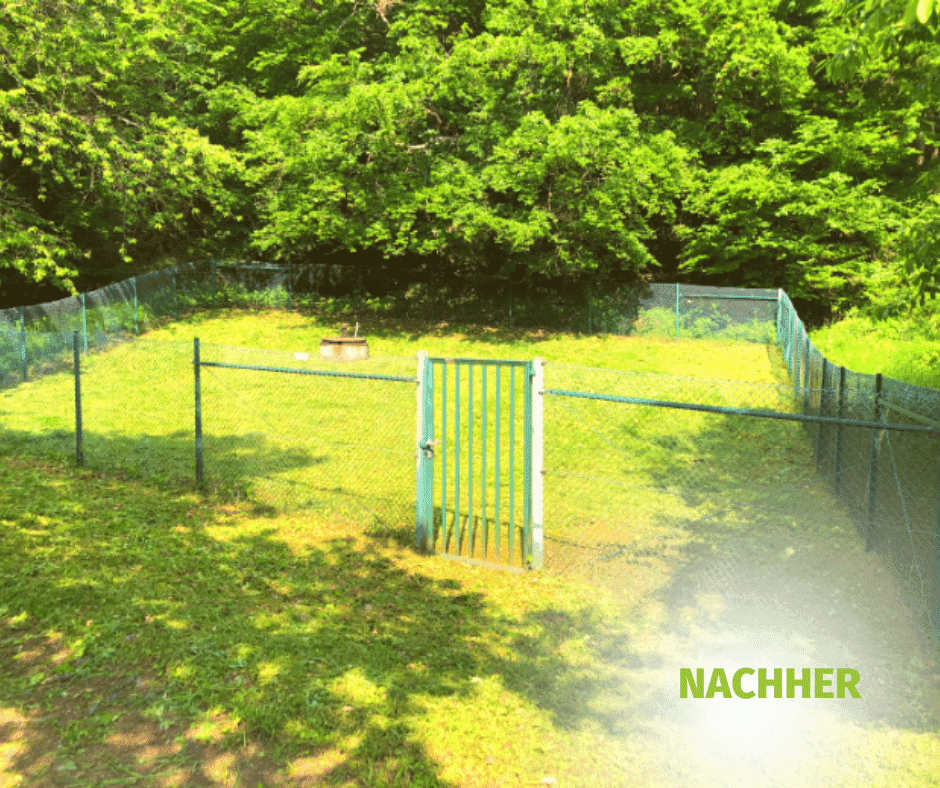 projekt3-nachher