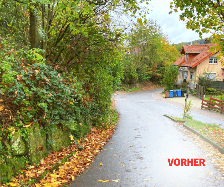 projekt1-vorher