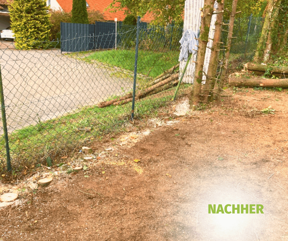 projekt10-nachher