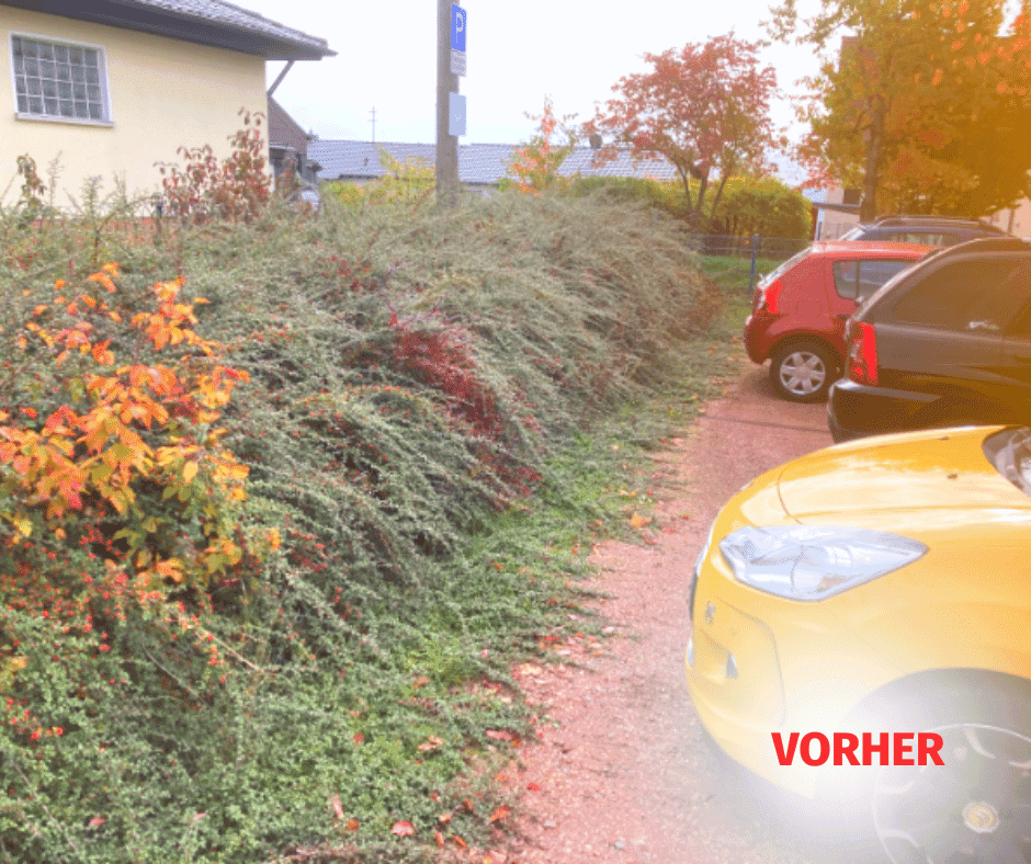 projekt12-vorher