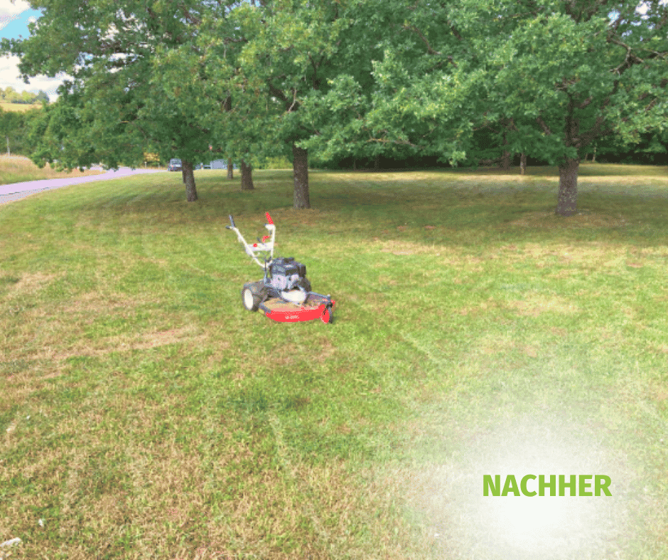 projekt13-nachher