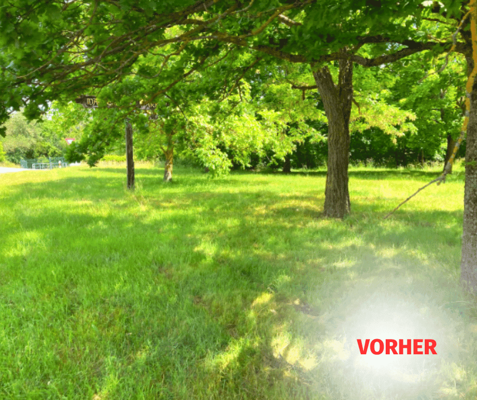 projekt13-vorher