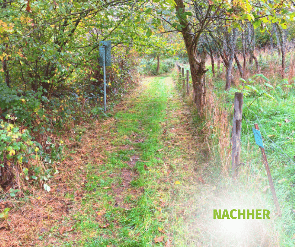 projekt2-nachher