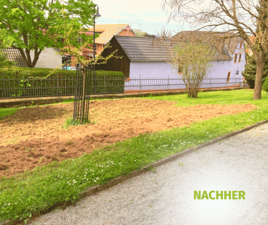 projekt4-nachher